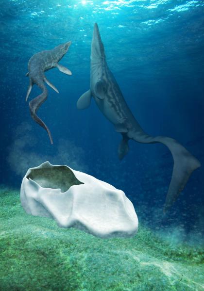 Imagen de Investigador del MNHN forma parte del equipo que encontró huevo gigante de reptil marino